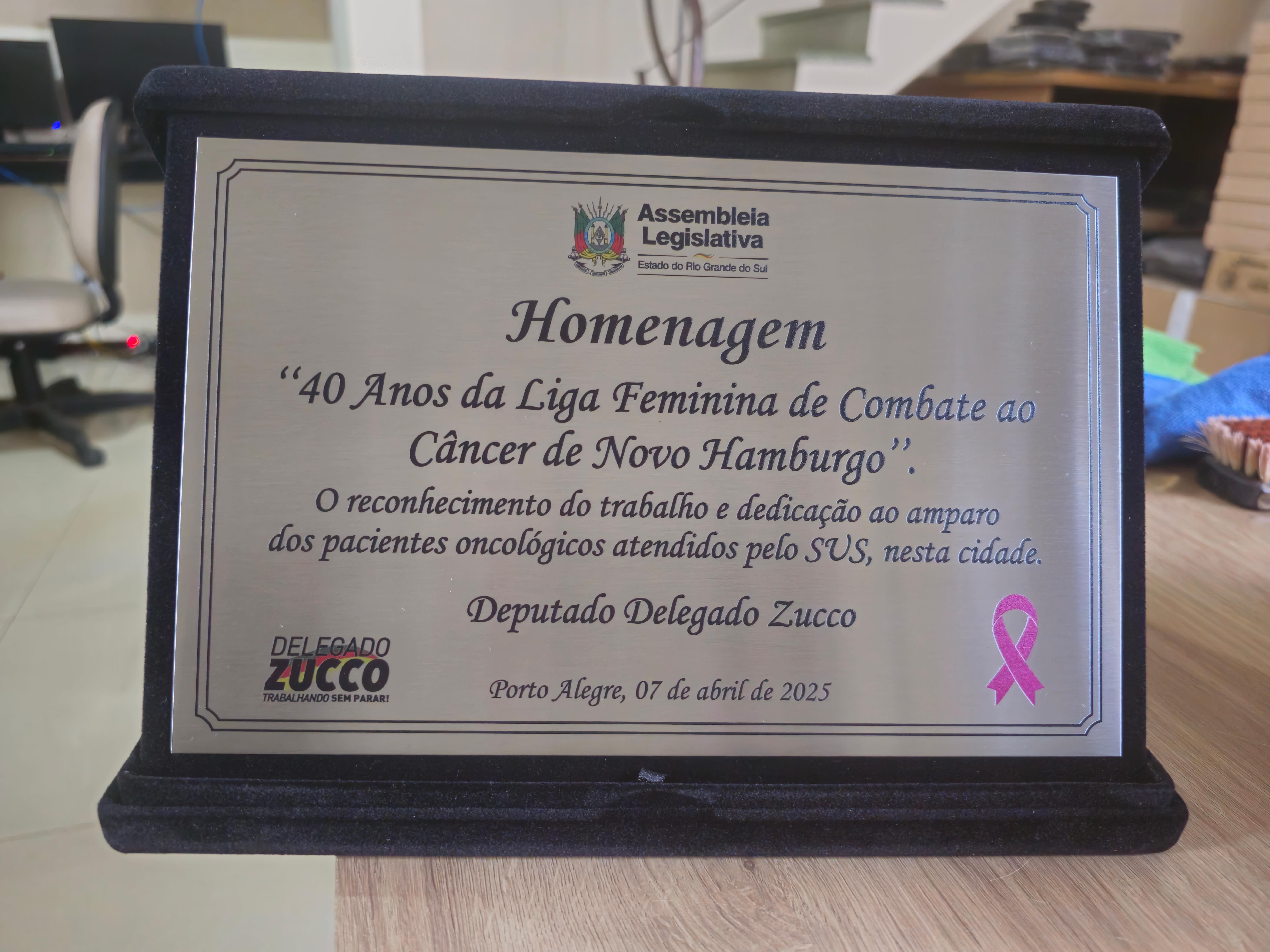 Placa de Homenagem Institucional